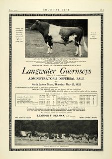 1922 Ad Leander F Herrick Langwater Gurnsey Dairy Cow Cattle Livestock
