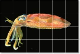 Top 20 Sea Life Photo Ceramic Tile Murals Buyers Choice