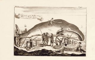 Antique Print Whale Fishing Whales Beach Greenland Monck 1744