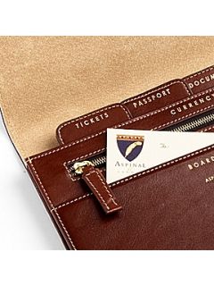 Aspinal of London Deluxe travel wallet   