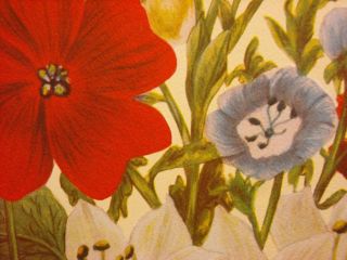 Vintage Floral Print Loudon Florals 1783 1834 No 1087