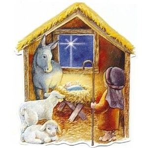 Carol Wilson Christmas Manger Nativity Boxed Greeting Cards 15 Ct