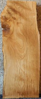 White Oak Lumber Slab Live Edge Curly Figured Taxidermy Mount 5104