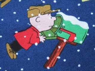 Charlie Brown Christmas Time Peanuts Lucy Linus Quilting Treasures