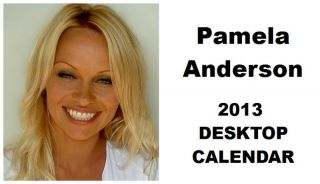 Pamela Anderson 2013 Desktop Calendar Now Only £5 99