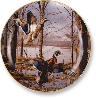David Maass Misty Morning Revisited Wood Ducks Collector Plate