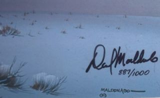 Signed Numbered Daniel Maldonado Native Indian Print