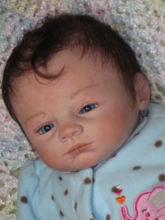 Reborn Baby Girl Doll Moby by Marissa May Now Tia