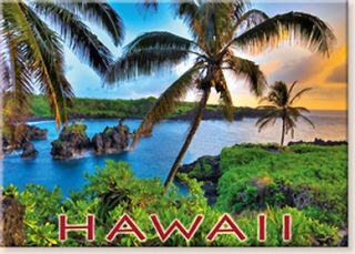 Vintage Hawaii Hawaiian Magnet Solid Coconut Hana Maui