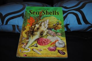 Maxton Book About Sea Shells Vintage 1954 Follett Publishing Chicago