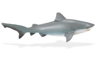 Bull Shark New 2011 Ships Free w $25 Safari Ltd