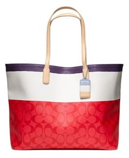 NEW COACH LEGACY WEEKEND PAINTED STRIPE PVC LARGE DOGLEASH TOTE