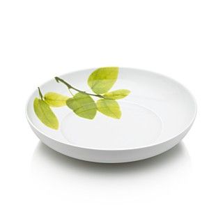 Mikasa Dinnerware, Daylight Collection   Fine China   Dining