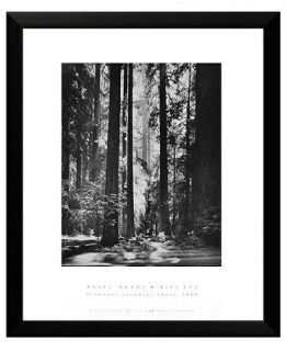 Metaverse Framed Art, Redwoods, Founders Grove by Ansel Adams   Wall
