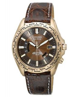 Citizen Watch, Mens Limited Edition World Perpetual A T Eco Drive