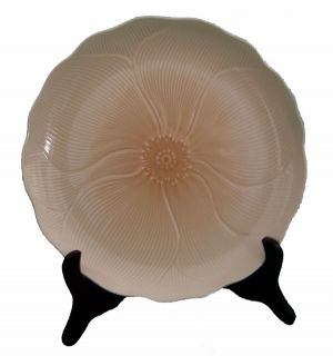 Onedinner plate in amaryllis pattern by Mikasa Patterndiscontinued