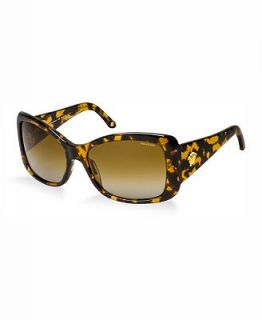 Handbags & Accessories  Sunglasses