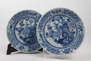 Great Pair of 19C. Chinese Blue and White Porcelain Chargers*Birds