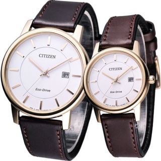 CITIZEN Couple Pair Watch White Gold BM6753 00A EW1563 08A Made in
