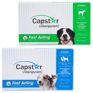 Dog Sale Capstar Adult Flea Killer Tablets