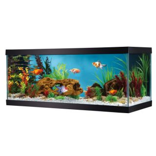 Fish Aquariums 20 40 Gallons Top Fin 20 Gallon Glass Aquarium