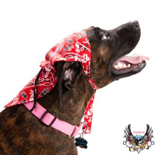 Dog Bows & Bandanas for Dogs