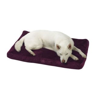 Pet Dreams Memory Foam Eco Friendly Orthopedic Dog Bed   Beds   Dog