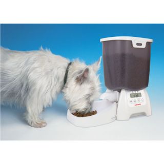 Dog Feeders & Pet Fountain