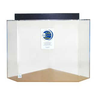Clear For Life Pentagon Acrylic Aquarium 125 Gallons   Clear Background