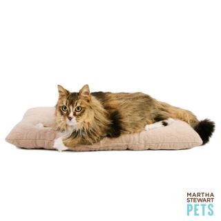 Martha Stewart Pets™ Burnout Cat Pillow Bed   Mats, Pads & Blankets   Beds