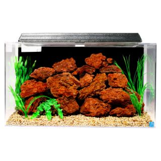 Fish Tank & Fish Aquariums for Sale