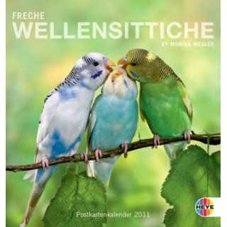 Freche Wellensittiche 2011. Postkartenkalender Monika