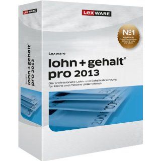 Lexware Lohn+Gehalt Pro 2013 Update (Version 13.00) 