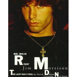 Mr. Mojo Risin Jim Morrison, the Last Holy Fool David