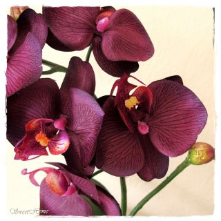 Vase Silber * EDEL* Gesteck Orchidee 49 cm lila/aubergine Jardiniere