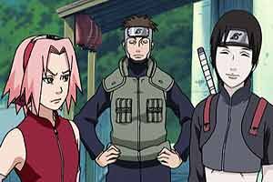 Naruto Shippuden   Staffel 2 Die Suche nach Sasuke, Episoden 253 273