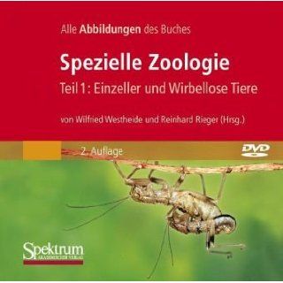Spezielle Zoologie 1 Wilfried Westheide, Reinhard Rieger 
