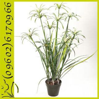 Cyperus Papyrus Grünpflanze im Topf Kunstpflanze 90 cm