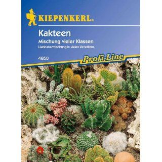 Kakteen, Mischung vieler Klassen Garten