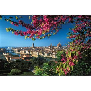 Ravensburger 17421   Blick über Arno und Altstadt von Florenz, 5000