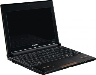 Toshiba NB550D 119, Netbook, braun, AMD C60 1.00GHz, PLL5FE 02T01CGR