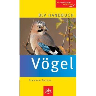 BLV Handbuch Vögel Der zuverlässige Naturführervon Einhard Bezzel