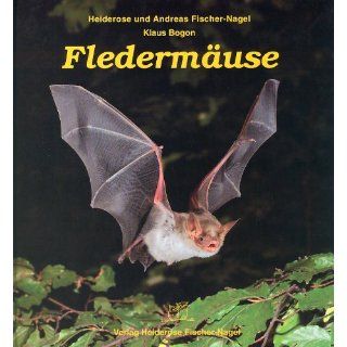 Fledermäuse Heiderose Fischer Nagel, Andreas Fischer