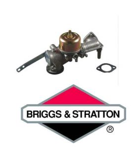 Briggs & Stratton Vergaser 491590