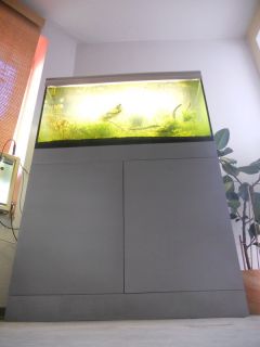 250L Design Aquarium Amano Naturaquarium Giesemann Stratos 100x50x50