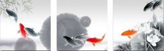 XXL Leinwand Canvas 3 Drei Bilder Japanische Fische Seerosen rot grau