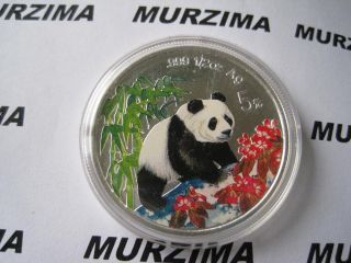 China 5 Yuan 1997 Panda 1/2 Unze Silber PP Farbmünze in Kapsel