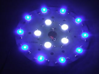 15W LED Cluster   10x 1W blau + 5x 1W kaltweiß + 16W Driver Neu Grow
