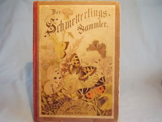 Der Schmetterlingssammler. 263 kolorierte Abbildungen. 1 Auflage 1877