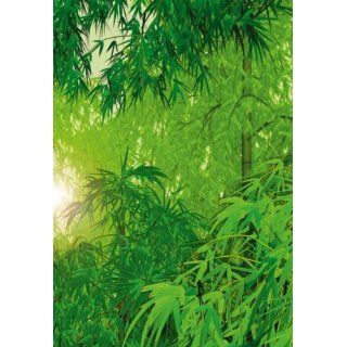   Bambus Dschungel Blätter Natur Sonne   4 teilig   Größe 183